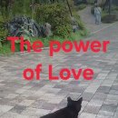 The power of Love 이미지
