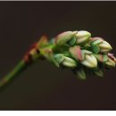 가온중학교 이미지