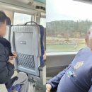 보성매일시장 이미지