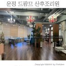 UR(파주시)-[책향기로]-하-24 | (폐업 확정) 운정 드팜므 산후조리원 가격 및 상담 후기 선택하지않은 단점