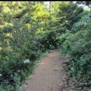 태하모노레일 이미지