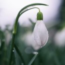 풍류사우나 이미지