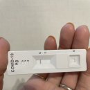 삼성박내과의원 | 역신속항원검사 - 코로나의심,,? 자가키트 목,코 비교 강남박내과, 강남삼성드림이비인후과 (22.03.21기준)