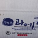 구룡포이선옥과메기 네이버블로그