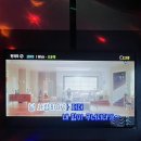 민락 기아오토큐 | [쥬니로그] 비로 가득찬 주간일상