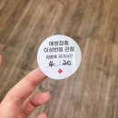 오주동물병원 | [2021.8] 내가 빠른지도 느린지도 모르겠어 그저 눈앞이 샛노랄 뿐이야