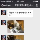 해피펫 이미지