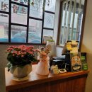 원참치 | 전주점심맛집 후기 원참치 갓성비 우동정식