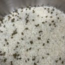 샘터온누리약국 이미지