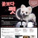 팡팡 이미지
