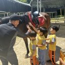 담양남초등학교 이미지