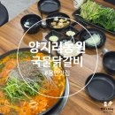 양지농원 | [경기/용인] 또 와버렸다! 국물 닭갈비는 역시 양지리농원 용인양지본점 💛 (재방문 후기)