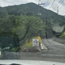 장흥약수펜션 | 모시고 양주가족여행 야외수영장 캠핑장 개별바베큐장이 있는 장흥계곡 앞 양주펜션, 장흥약수펜션 후기