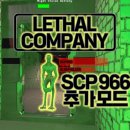 966 이미지