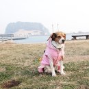 오조 한도교 이미지