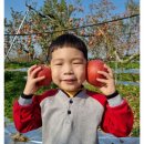 성만농장 이미지