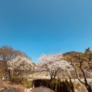 스테이더담 경주산내점 이미지