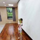꽃보다 라인댄스 | 고제면 사과꽃 열린음악회 후기