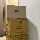 소나무주유소 | 전남 애견동반 노지캠핑 | 무안 송계 솔바람길 무료캠핑 + 쿠디 에어텐트 10.0 &amp; 오로라돔 실사용 후기