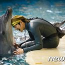 [2013.3.11 뉴스1] 불법 포획 제주남방큰돌고래 서울대공원으로 이미지