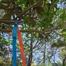 길중농장 이미지