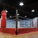 태풍복싱체육관 이미지