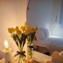 부산에어비앤비 써클스테이 이미지