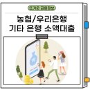 농협 우리 은행 단기 소액대출 무직자 가능한 곳