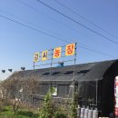 강씨농장 이미지