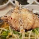 제주복어 이미지