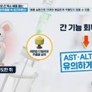 단델리온