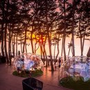 (주)호반호텔앤리조트 이미지