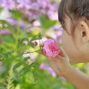 붕붕붕주유소 이미지