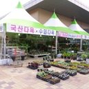 봄봄플라워 - 양주시 독바위로 26 | 봄봄플라워