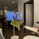 5070 | [4박5일 상해여행(?)] 남편 상해 출장따라가기 (나는여행), 자카르타에서 상하이 동방항공 MU5070 후기