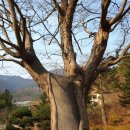 대아볼트