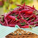 철이네농장 이미지