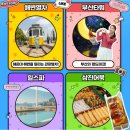 도시바다 | 🏙️ [대한민국 부산] 부산투어패스 후기 – 바다와 도시를 잇는 올인원 관광 패스