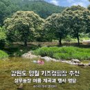 돌탑농장 | 강원도 영월 키즈캠핑장 상우농장 추천, 계곡 가족 행사 명당