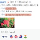 블루밍캠프 이미지