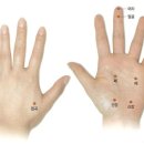 고려수지침 복현지회 이미지