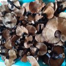 검성로3-1 이미지