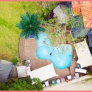 팜트리펜션 이미지