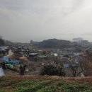 새남해농협금음주유소