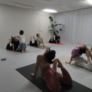 하타요가 이미지