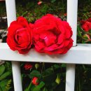 인천공촌초등학교 이미지