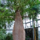 권선연세내과의원 이미지