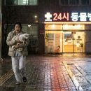 24시 송도힐 동물메디컬센터 | 송도 24시 동물병원 리스트, 새벽에 강아지가 아프다면