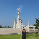 새만금 무궁화공원 Daum카페