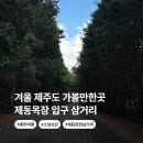 삼거리목장 | 겨울 제주도 갈만한곳 제동목장 입구 삼거리 포토존 위치 주차